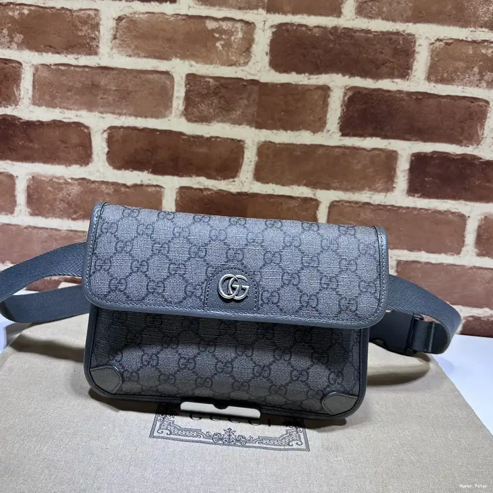 Hyperpeter GG GUCCI OPHIDIA BELT SMALL BAG 0629